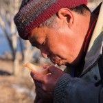 Tiere aus Zuckermasse 2