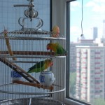 Mit Blick auf Beijing