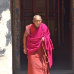 Buddhistischer Mönch