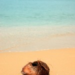 Wer hat die Kokosnuss geklaut?